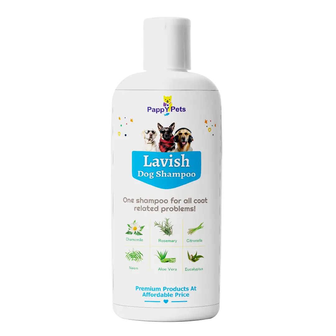 LAVISH Dog Shampoo